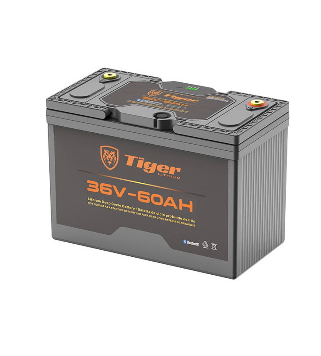 Batería de ciclo profundo de 36 V y 60 Ah