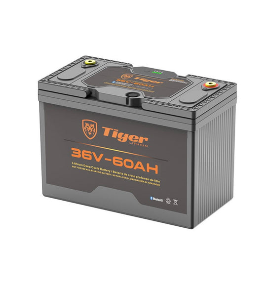 Batería de ciclo profundo de 36 V y 60 Ah