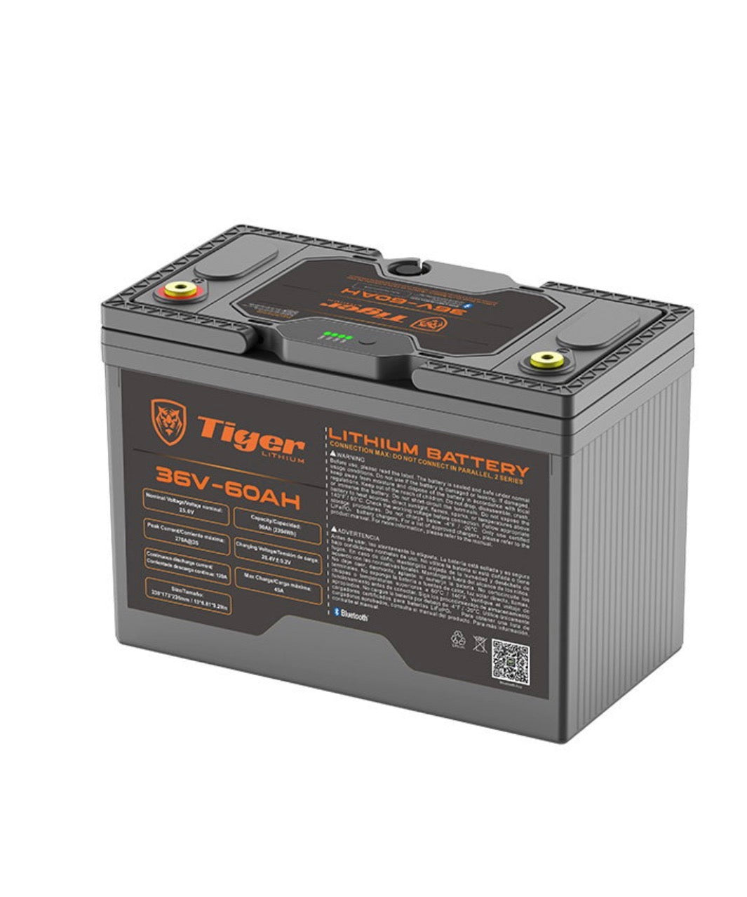 Batería de ciclo profundo de 36 V y 60 Ah