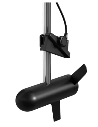 Sistema LiveScope™ Plus con GLS 10™ y transductor LVS34