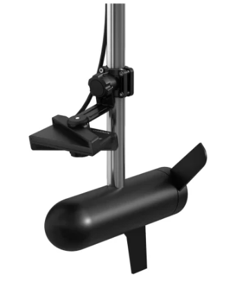 Sistema LiveScope™ Plus con GLS 10™ y transductor LVS34